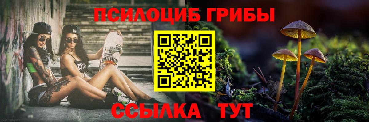 Галлюциногенные грибы Cubensis  Вход с VPN  Уссурийск 